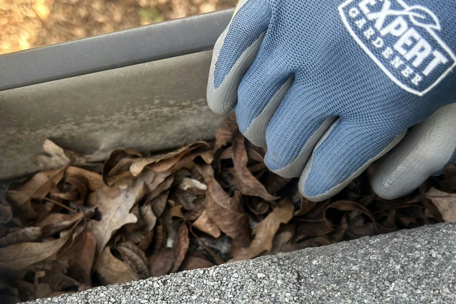 Gutter Cleaning Grant Park